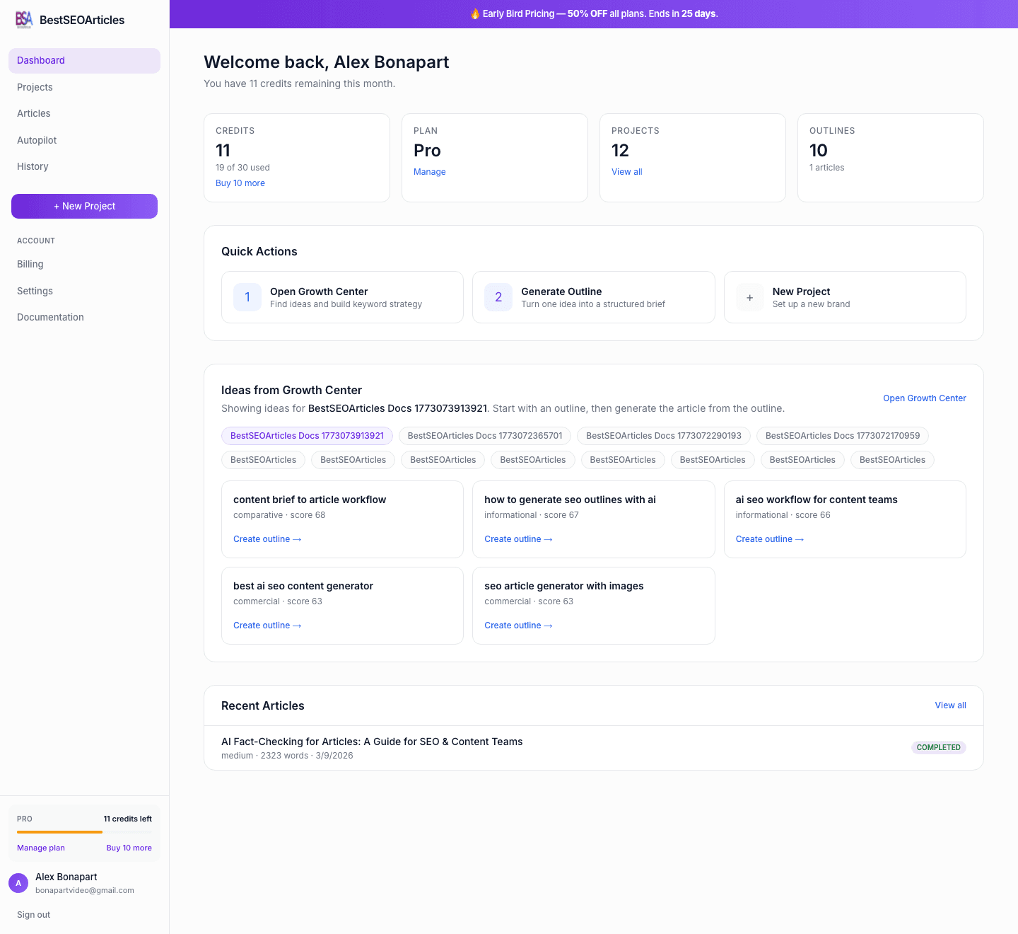 Dashboard view in BestSEOArticles